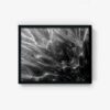 Untitled 1 - Image 2