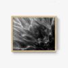 Untitled 1 - Image 4