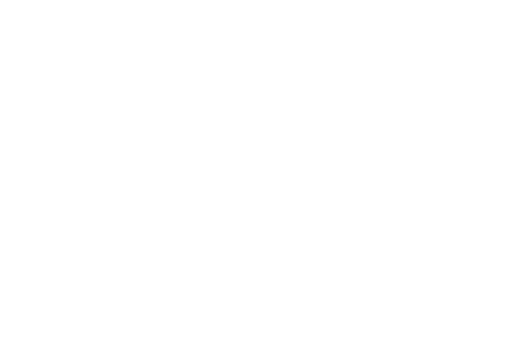 VZOW