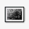 Untitled 1 - Image 5