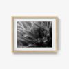 Untitled 1 - Image 7