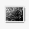 Untitled 1 - Image 3