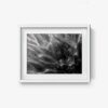 Untitled 1 - Image 6