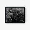 Untitled 4 - Image 2