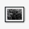 Untitled 4 - Image 5