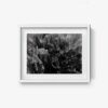Untitled 4 - Image 6