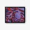 Zebra - Image 5