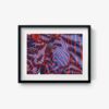 Zebra - Image 6
