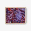 Zebra - Image 9
