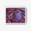 Zebra - Image 7