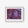 Zebra - Image 8