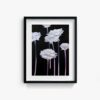 Light Rose - Image 5