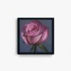Rose - Image 2
