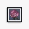 Rose - Image 3