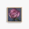 Rose - Image 6