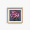 Rose - Image 7