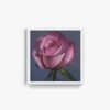Rose - Image 4