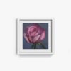 Rose - Image 5