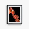 The Impromptu in Backroom art print showcases bold, swirling splashes of red, orange, and yellow on a dark background, reminiscent of fiery clouds or flowing lava.