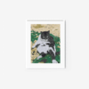 Cat - Image 6