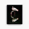 Flamingo - Image 2