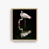 Flamingo - Image 4