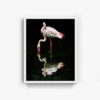Flamingo - Image 3