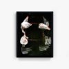 Flamingoswirl - Image 2