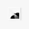 Black Hole Sun - Image 5