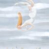 The surreal art print About Endless features a woman with red hair in a flowing white dress, suspended upside down in a cloudy sky. Below, small distant figures suggest a landscape or people, creating an ethereal and dreamlike atmosphere.