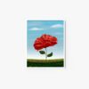 Blooming (daylight) - Image 4