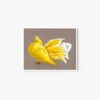 Dove and tulip - Image 4