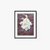 Egret and tulip - Image 3