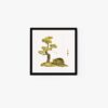 Lazy frog and pine tree #1 - Image 2