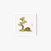 Lazy frog and pine tree #1 - Image 6