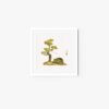 Lazy frog and pine tree #1 - Image 5