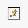 Lazy frog and pine tree #2 - Image 2