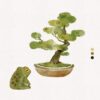 Lazy frog and pine tree #2 captures a watercolor illustration of a green toad beside a bonsai tree in a round pot, showcasing minimalistic green and brown hues.
