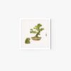 Lazy frog and pine tree #2 - Image 4