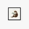Otter - Image 3