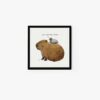 Capybara & Pigeon - Image 3