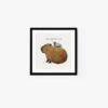 Capybara & Pigeon - Image 2
