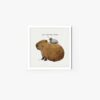 Capybara & Pigeon - Image 4
