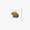 Capybara & Pigeon - Image 5