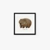 Wombat - Image 3