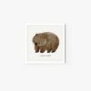 Wombat - Image 4