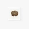 Wombat - Image 5