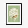 PoPoPoppy Head 0002 - Image 3