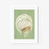 PoPoPoppy Head 0002 - Image 5
