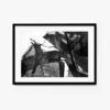BLACK ＯR WHITE 208 - Image 3